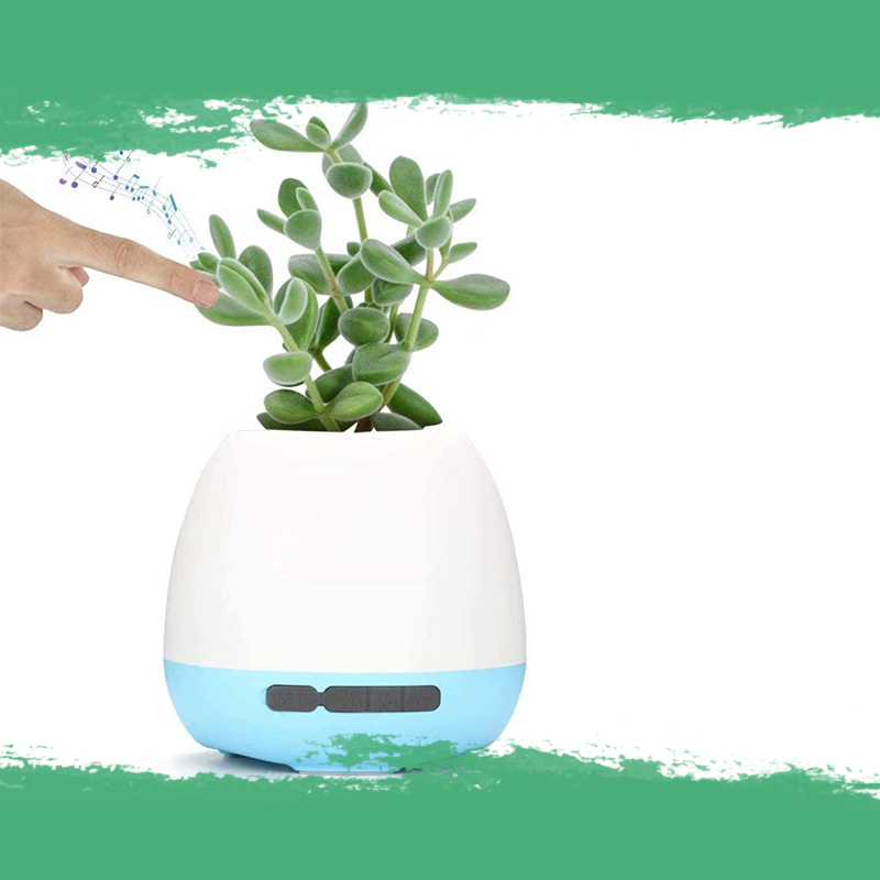 TTP-gift-guide-Music Plant Pot